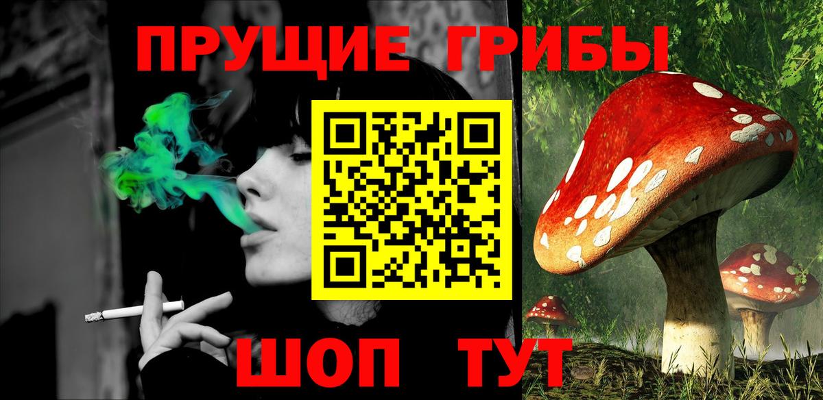 Псилоцибиновые грибы Psilocybe Кандалакша