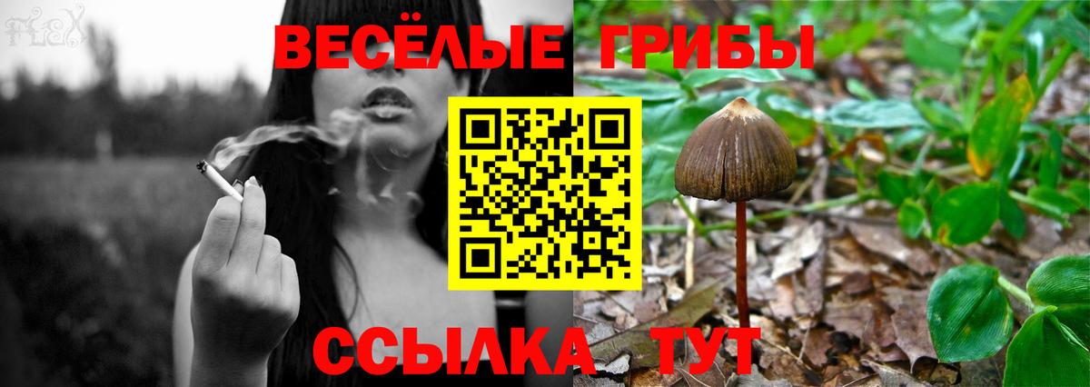 где купить   Галлюциногенные грибы мухоморы  Галлюциногенные грибы мицелий  Вход с VPN  Кандалакша 